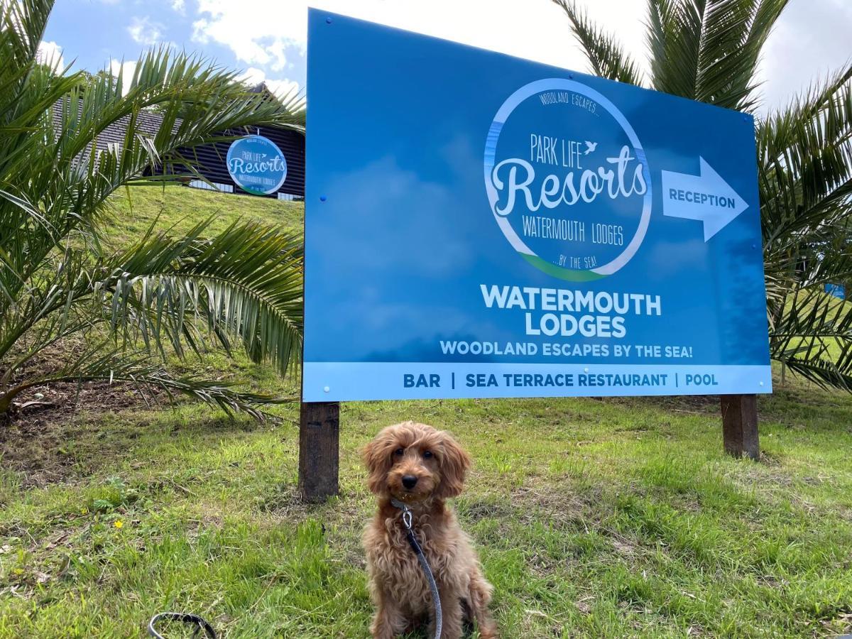 Watermouth Lodges Ilfracombe Dış mekan fotoğraf