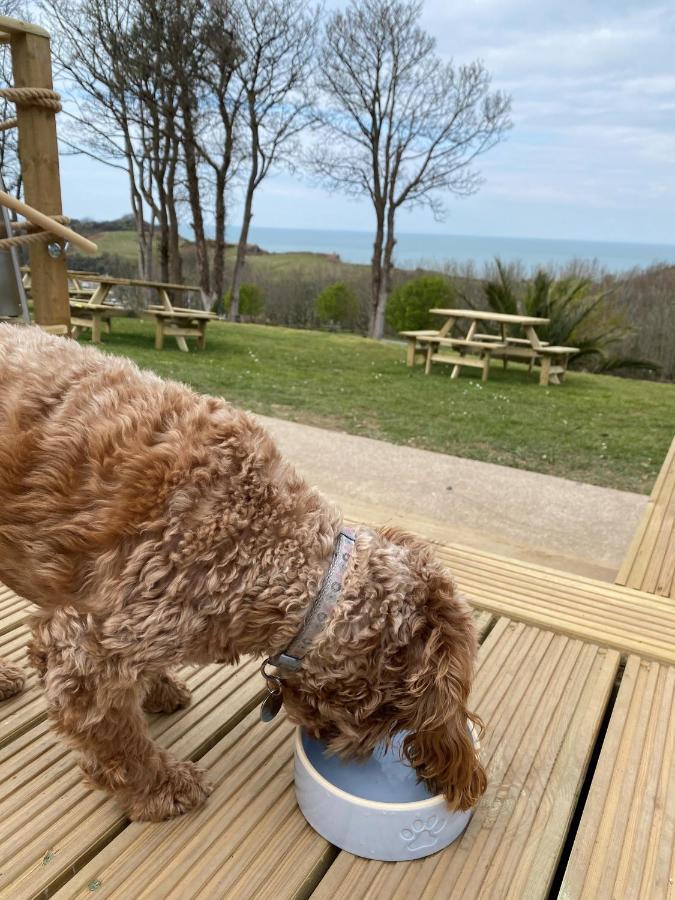 Watermouth Lodges Ilfracombe Dış mekan fotoğraf